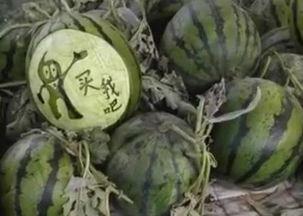 52爆料吃瓜网 爆炸瓜视频,爆炸瓜视频幕后真相大曝光